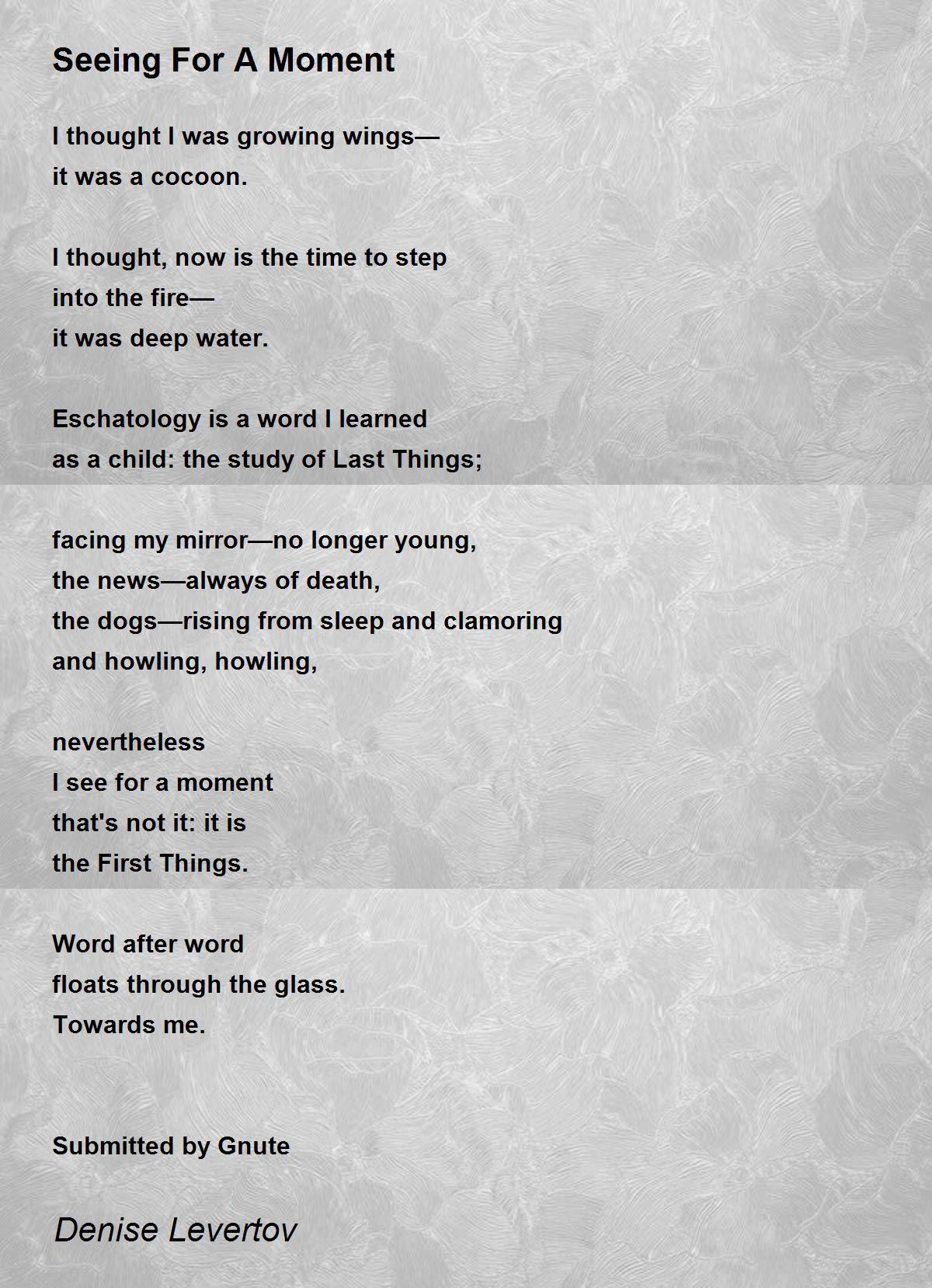 Seeing For A Moment Poem by Denise Levertov Poem Hunter