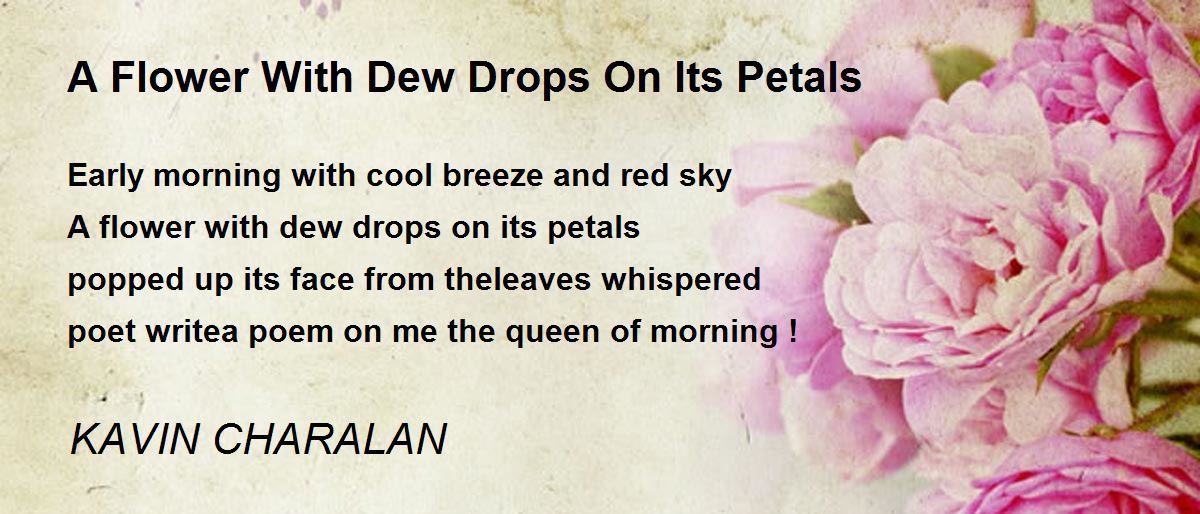 A Flower With Dew Drops On Its Petals Poem by KAVIN CHARALAN Poem Hunter