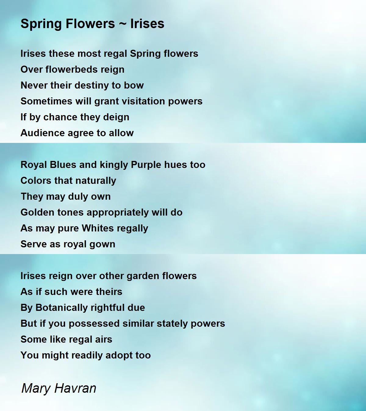 Spring Flowers Irises by Mary Havran Spring Flowers Irises Poem