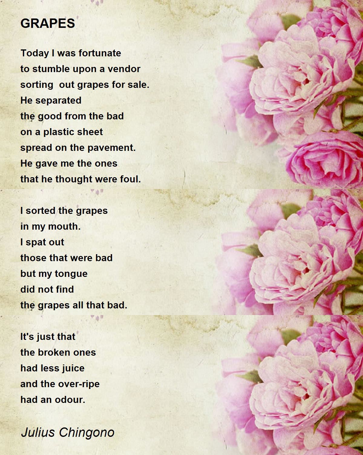 GRAPES Poem by Julius Chingono Poem Hunter