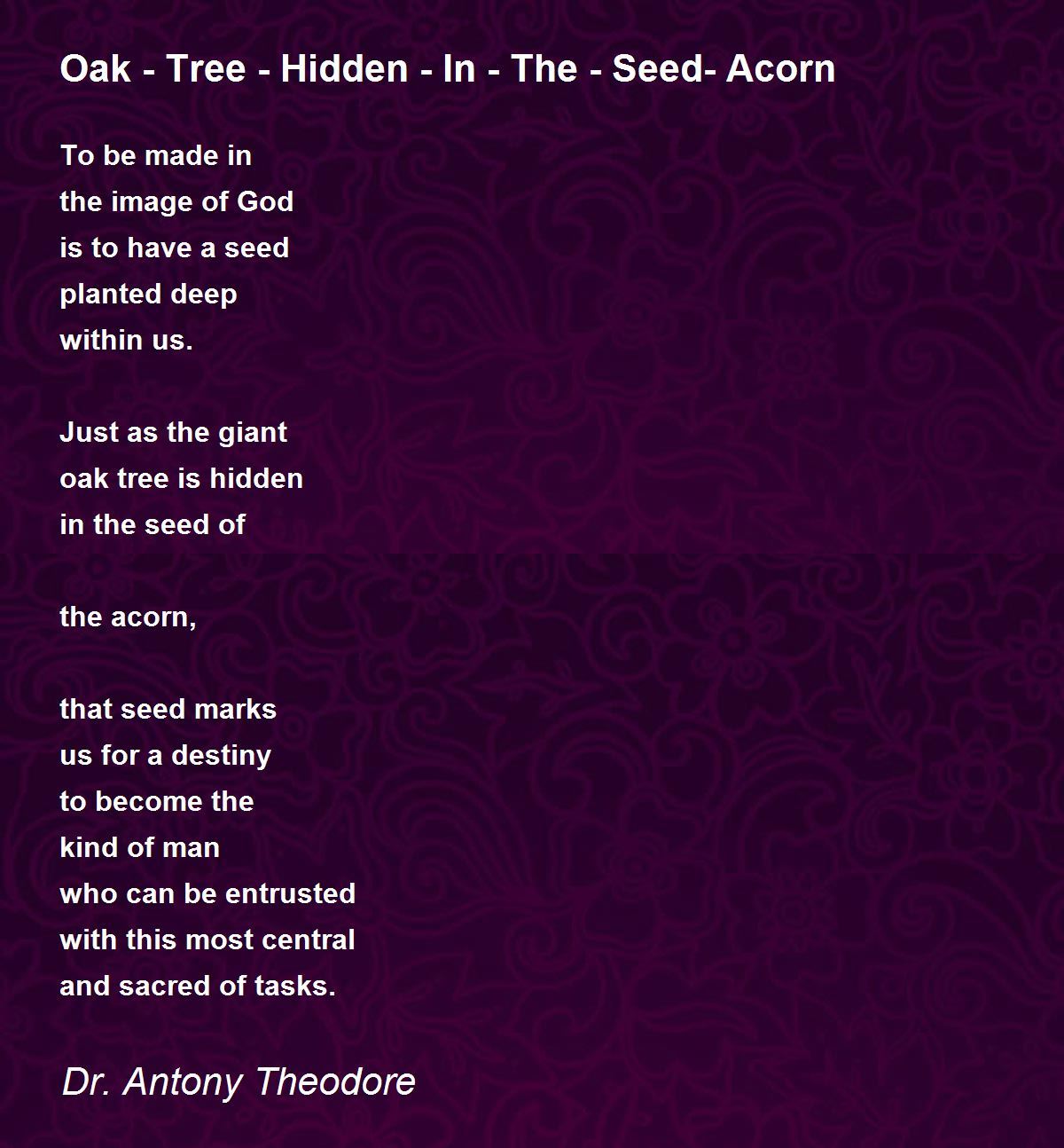 Oak Tree Hidden In The Seed Acorn Oak Tree Hidden In