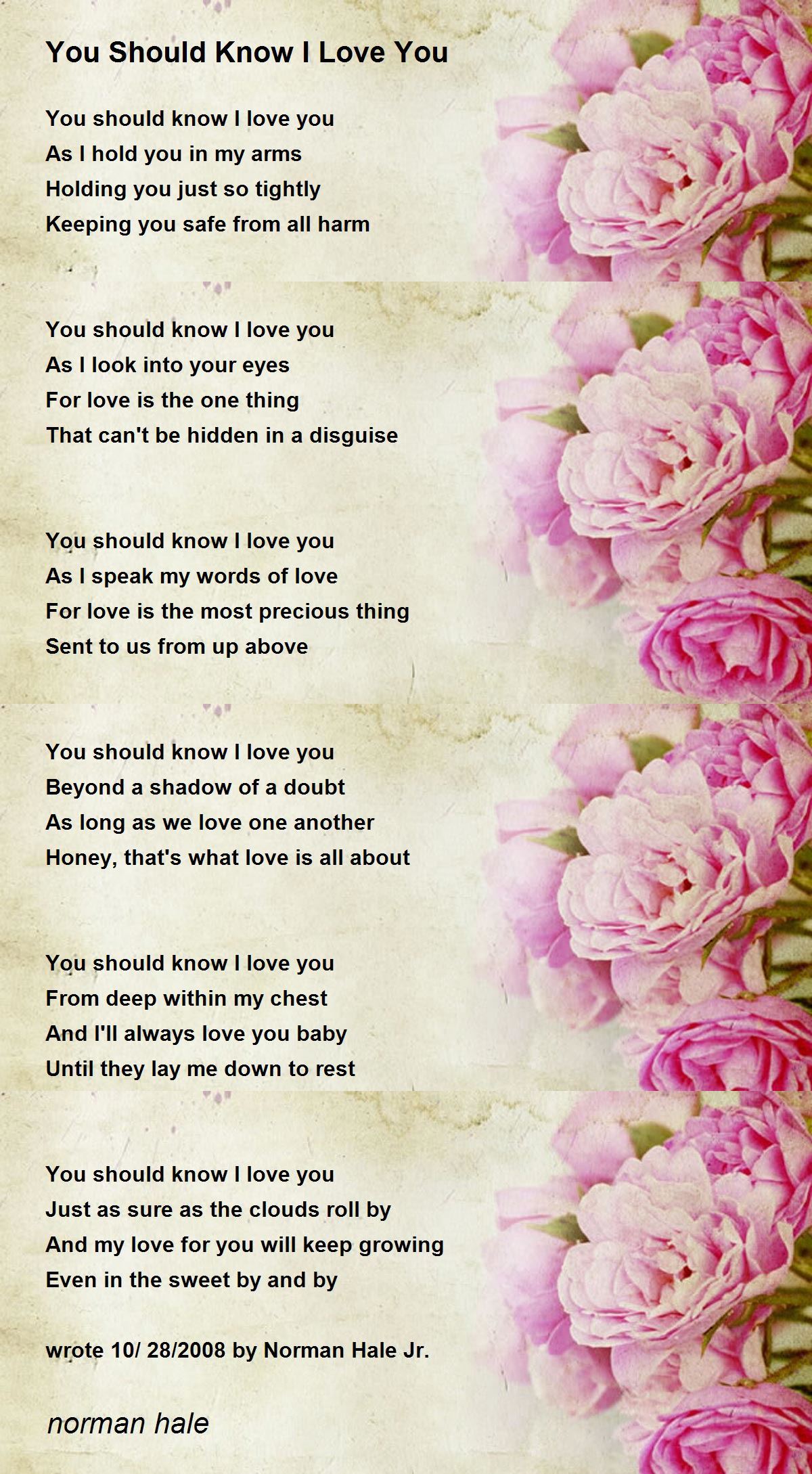 You Should Know I Love You - You Should Know I Love You Poem by norman hale
