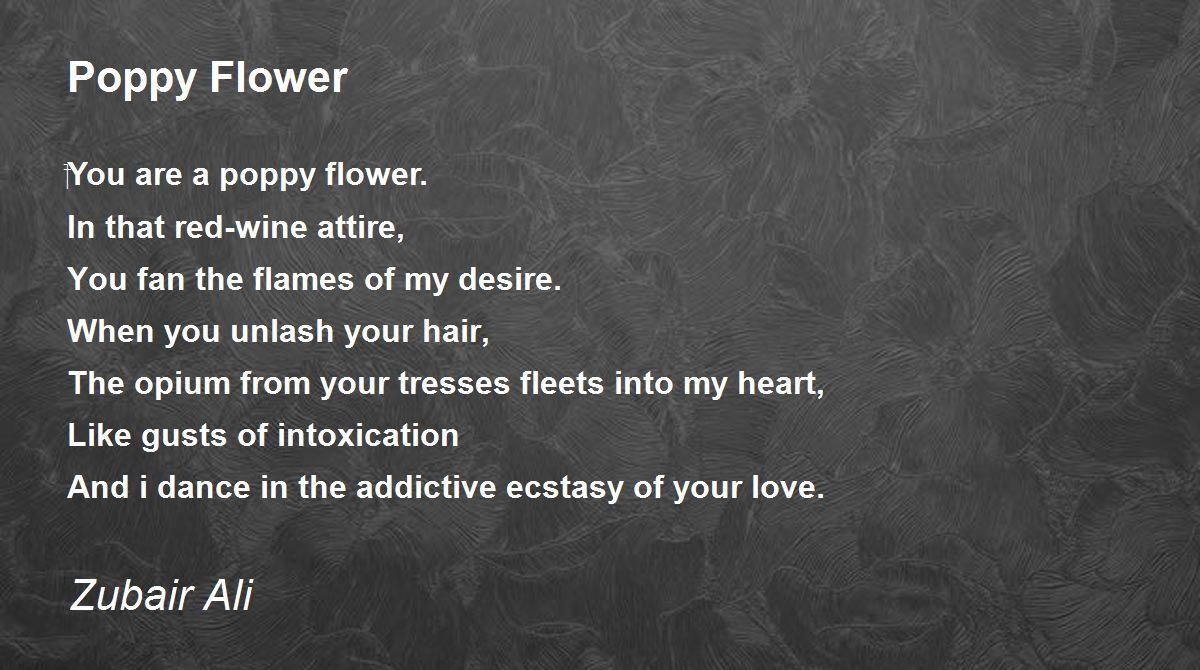 Poppy Flower Poppy Flower Poem by Zubair Ali
