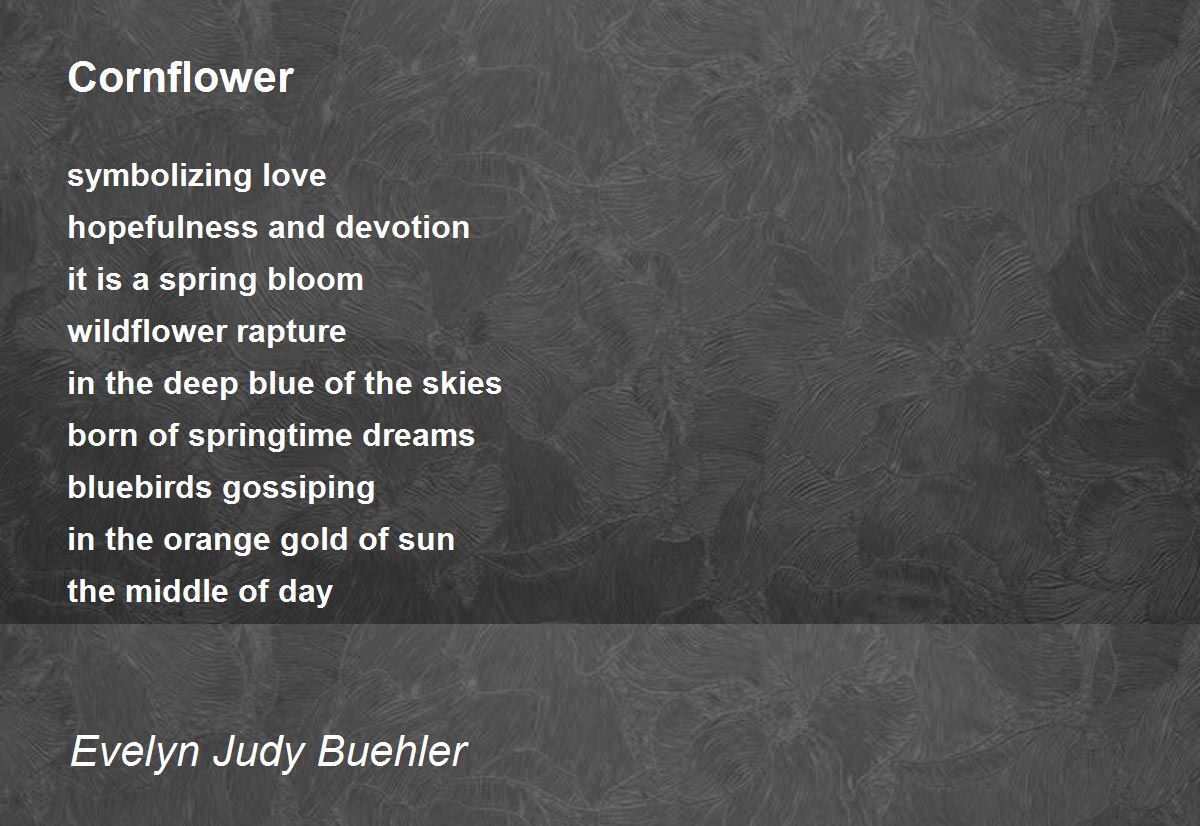 Cornflower by Evelyn Judy Buehler Cornflower Poem
