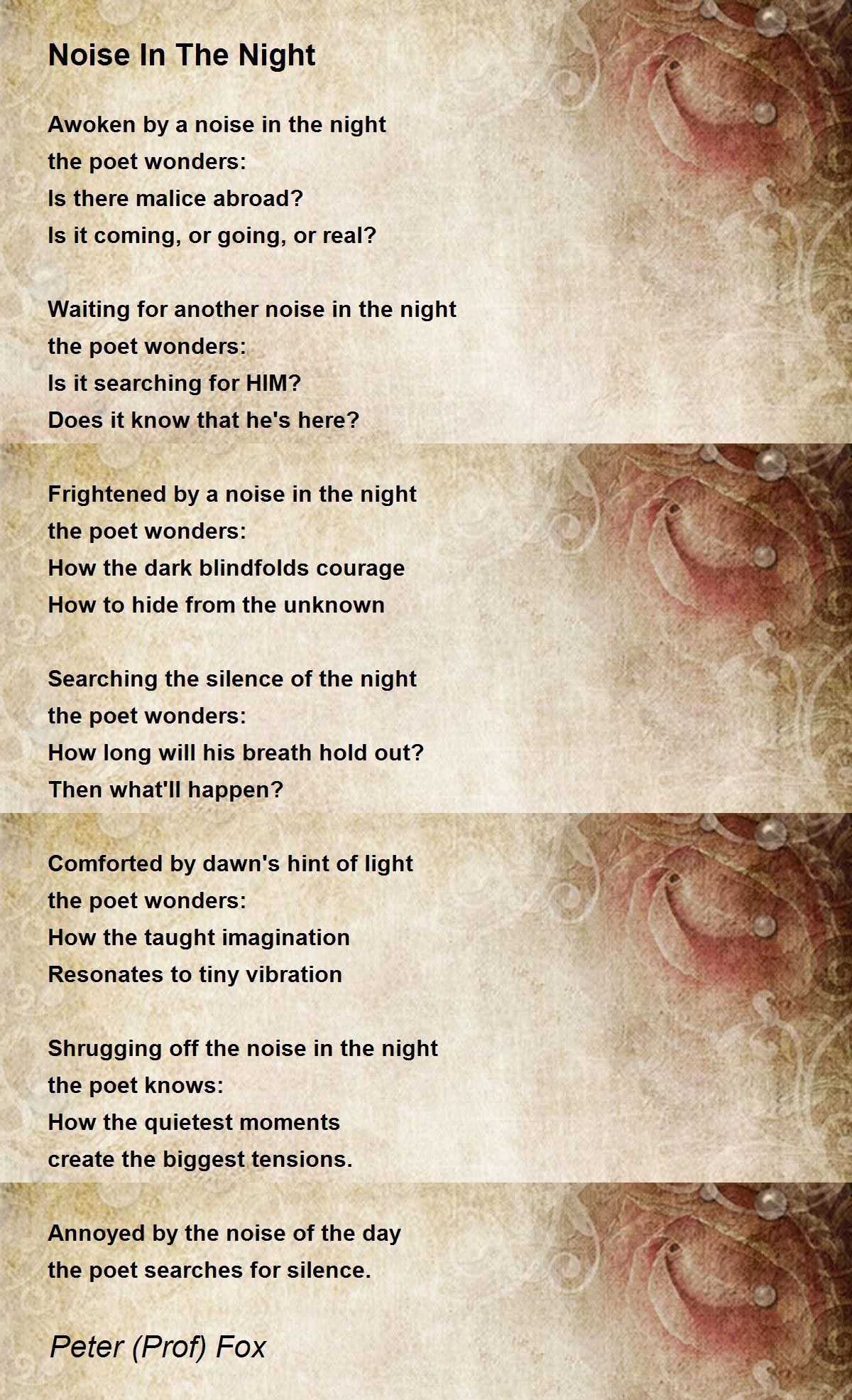 Noise In The Night - Noise In The Night Poem by Peter (Prof) Fox