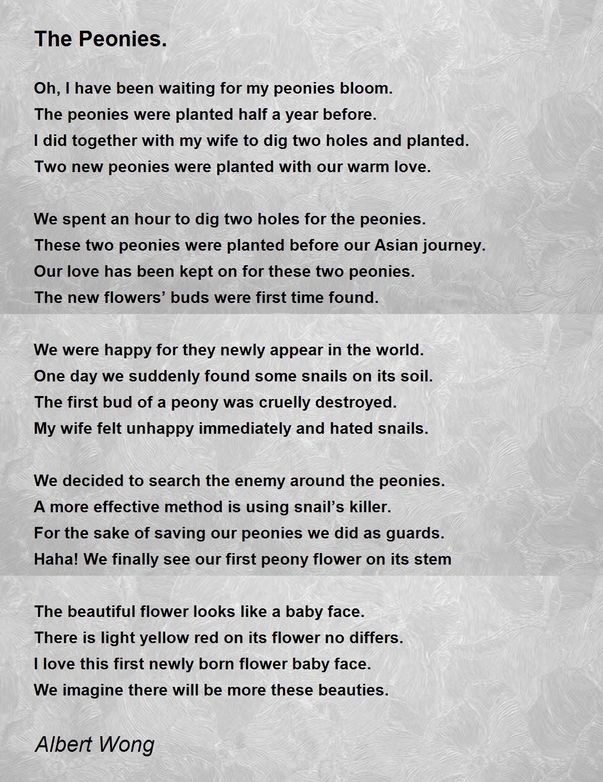 The Peonies. The Peonies. Poem by Albert Wong