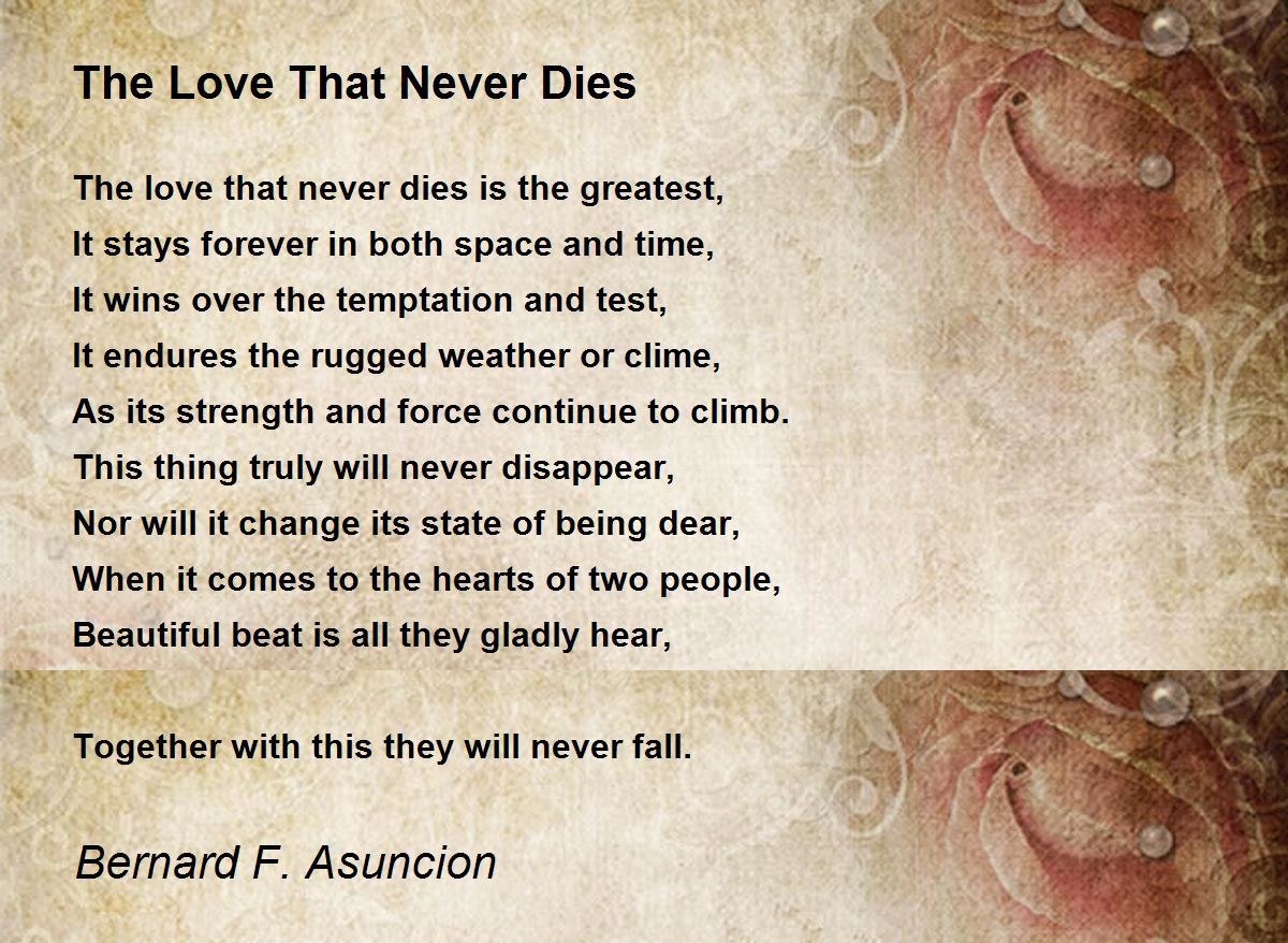 essay on love never dies
