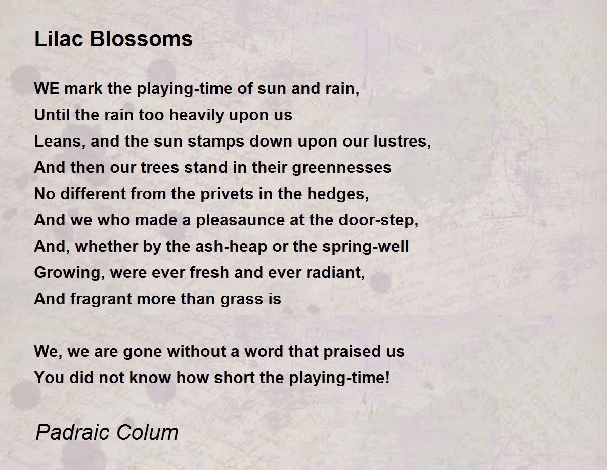 Lilac Blossoms Lilac Blossoms Poem by Padraic Colum