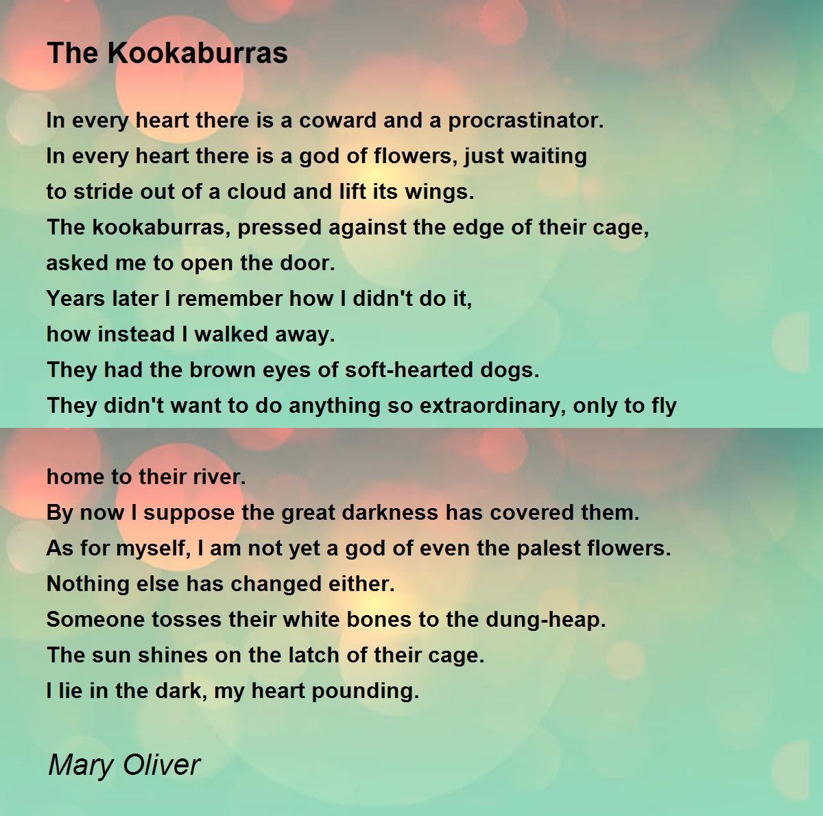The Kookaburras Poem by Mary Oliver - Poem Hunter