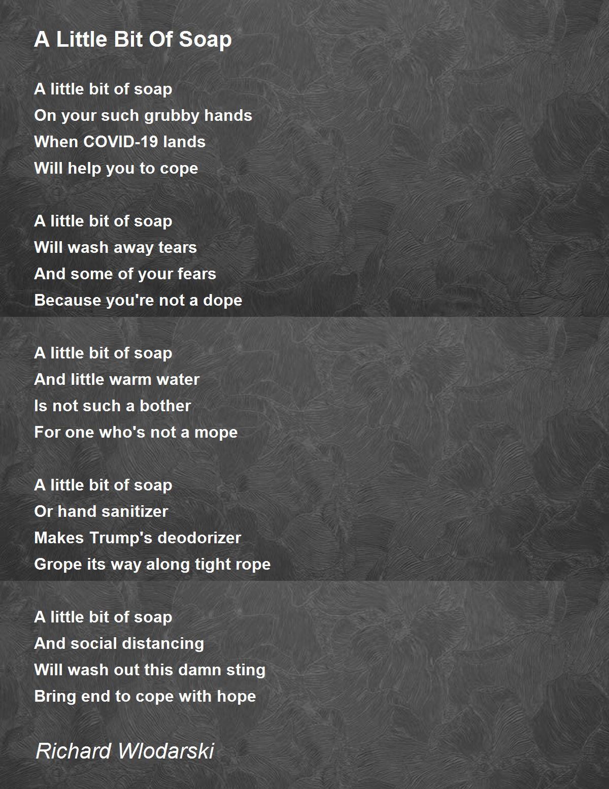 A Little Bit Of Soap A Little Bit Of Soap Poem by Richard Wlodarski