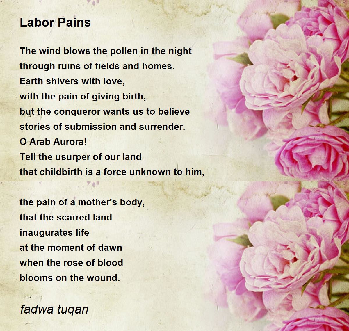 Fadwa Tuqan Quotes PDF) Rereading Identity Cards The Early