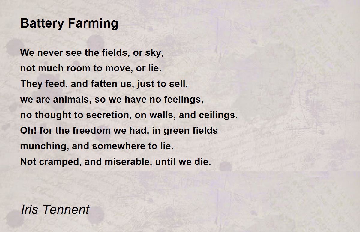 Battery Farming Battery Farming Poem by Iris Tennent