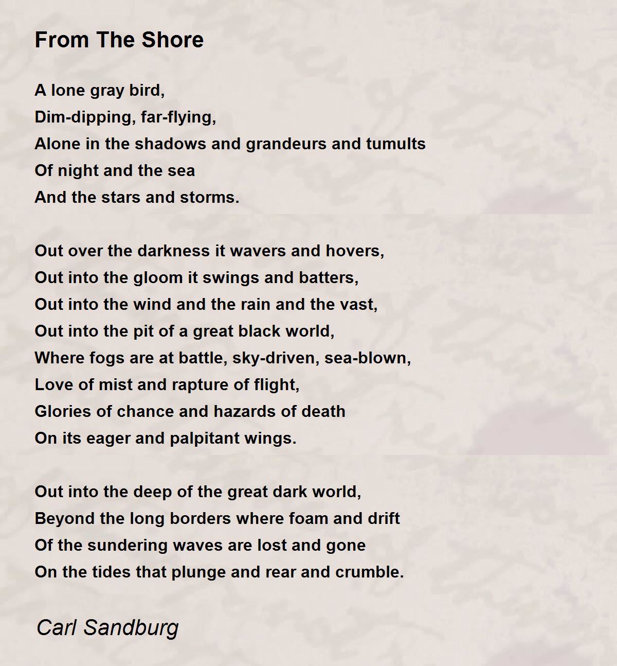 from the shore