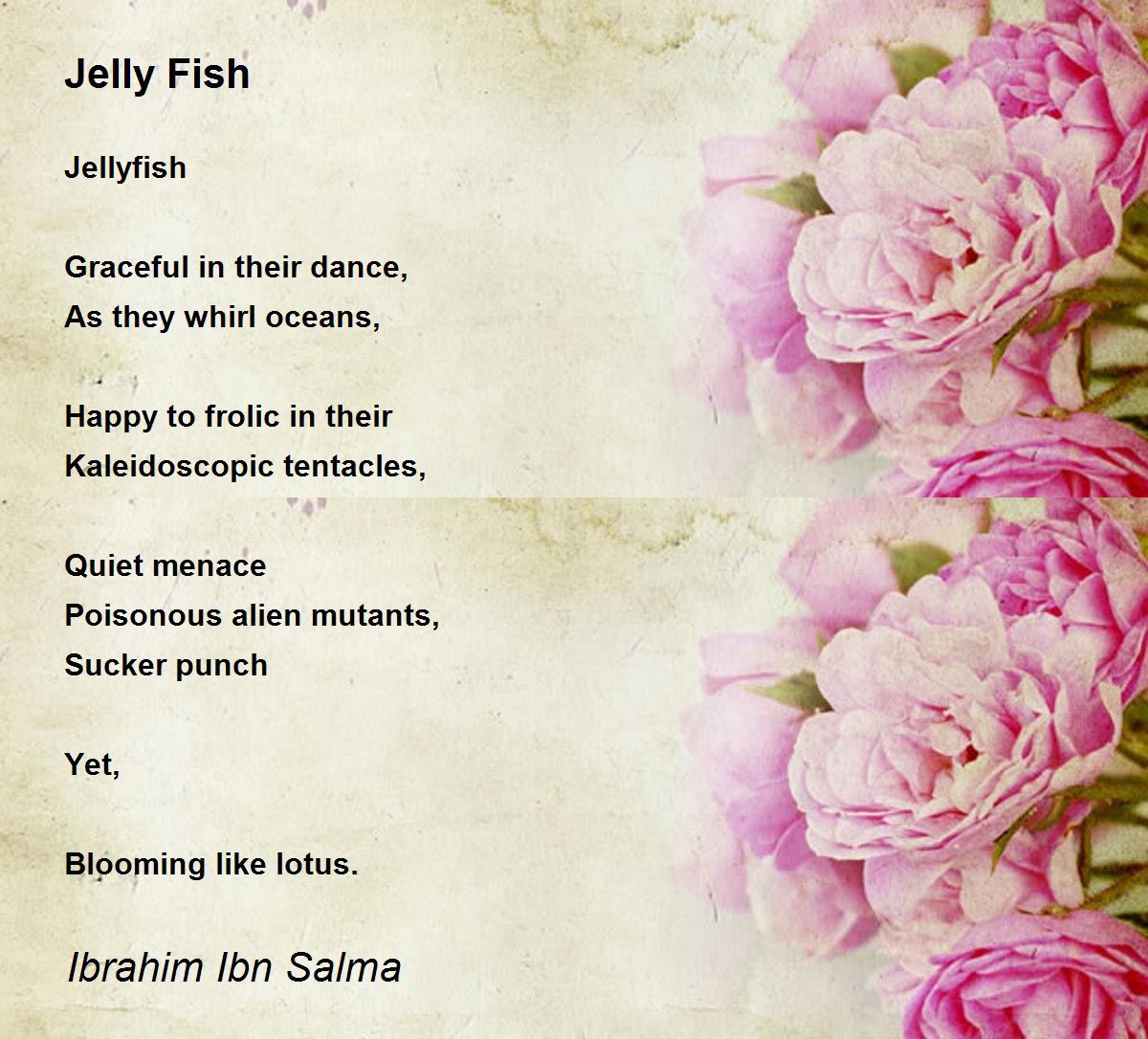 Jelly Fish Jelly Fish Poem by Ibrahim Ibn Salma