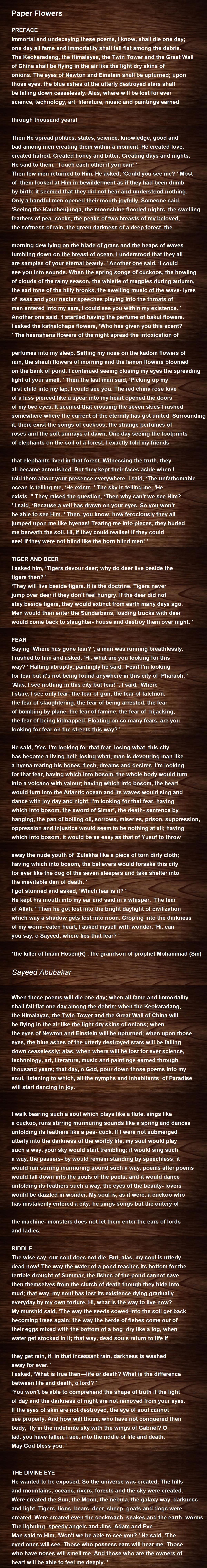 Essay of sayeed abubakar 08 picture