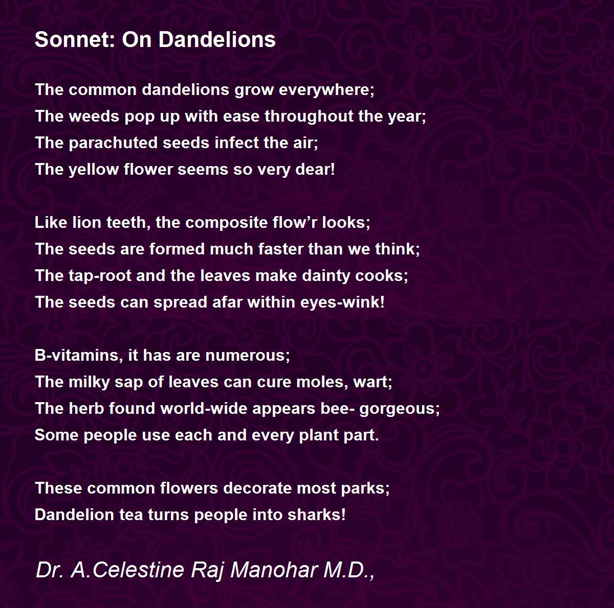 On Dandelions On Dandelions Poem by Dr John Celes