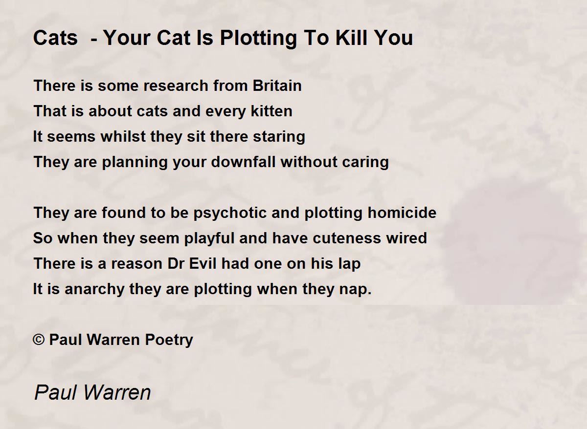 Cats Your Cat Is Plotting To Kill You Cats Your Cat Is Plotting