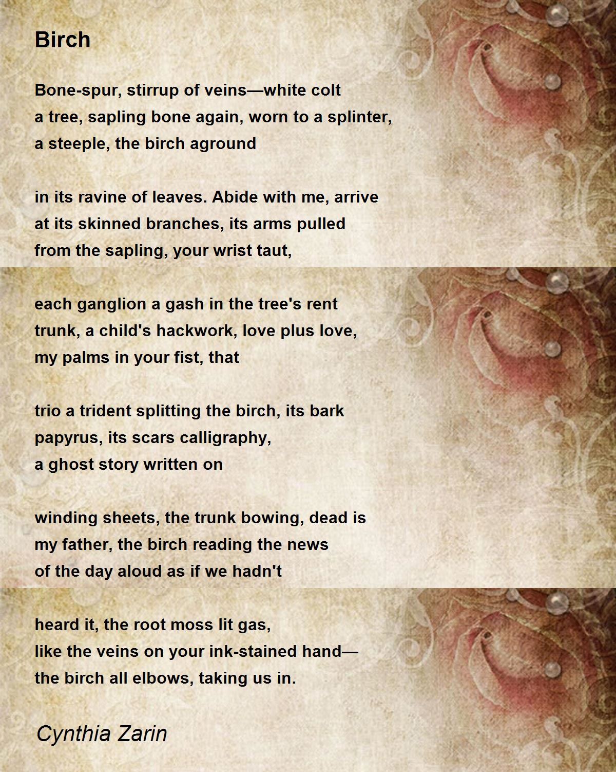 Birch Birch Poem by Cynthia Zarin