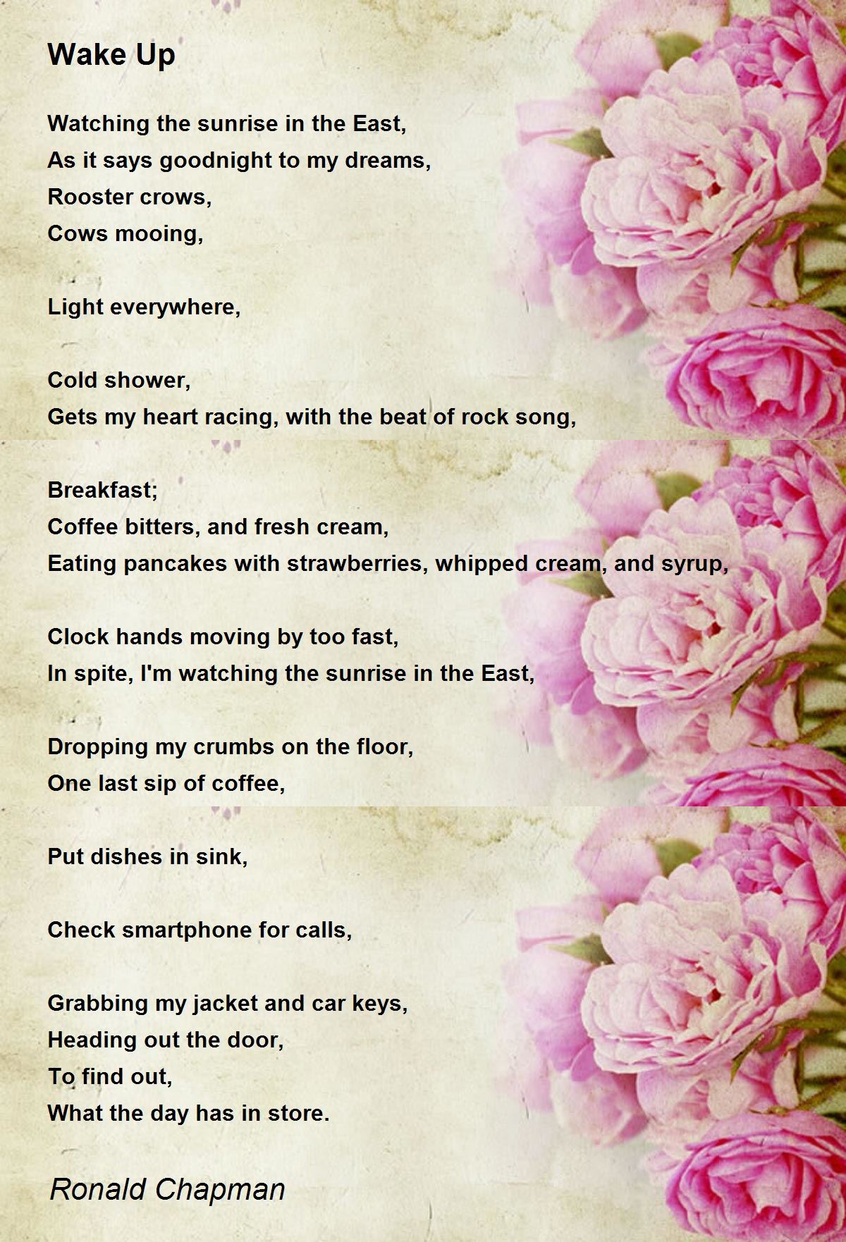 Wake Up Poem by Ronald Chapman Poem Hunter