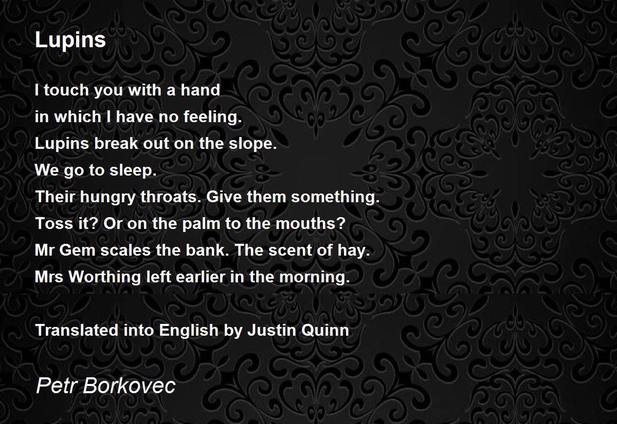 Lupins Lupins Poem by Petr Borkovec