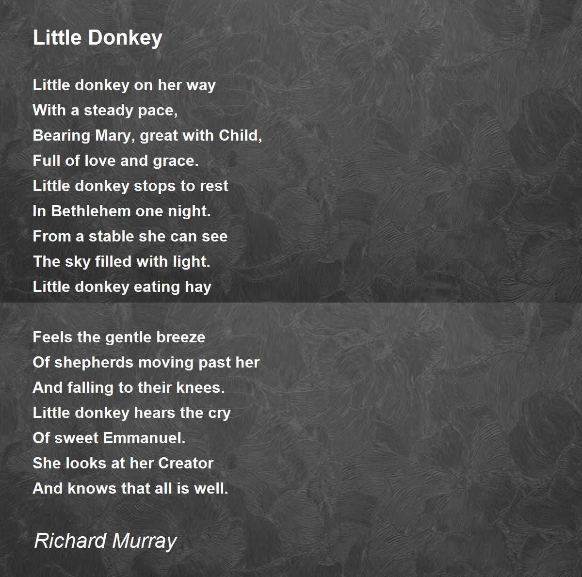 Little Donkey Little Donkey Poem by Richard Murray