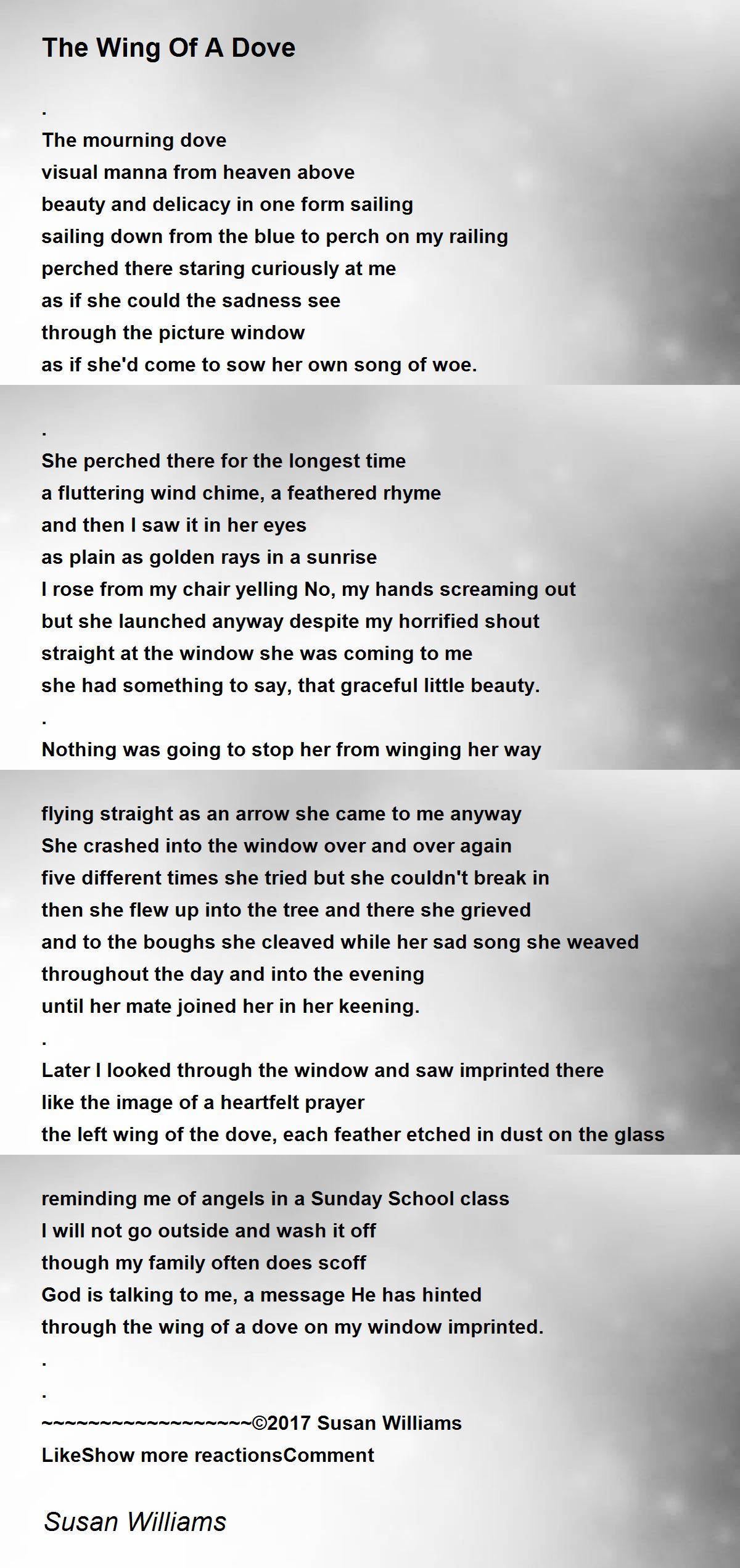 The Wing Of A Dove The Wing Of A Dove Poem by Susan Williams