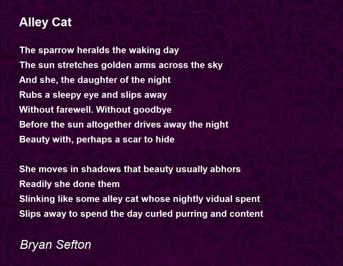 Alley Cat Alley Cat Poem by Bryan Sefton