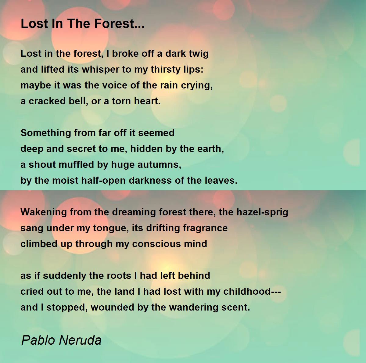 lost in the forest short essay