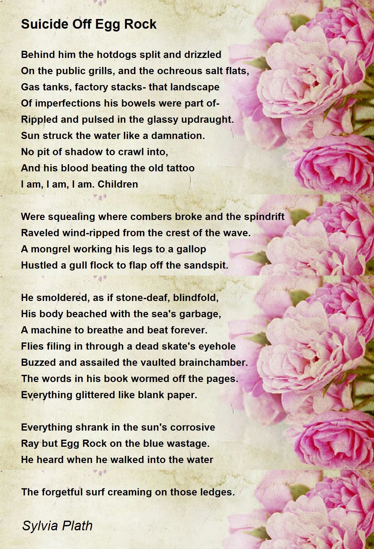 Suicide Off Egg Rock Poem by Sylvia Plath - Poem Hunter