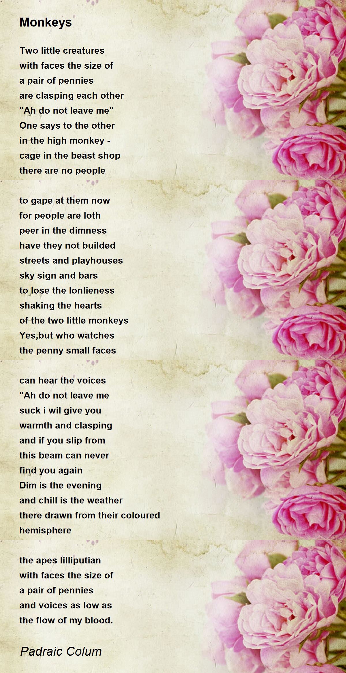 Monkeys Poem by Padraic Colum - Poem Hunter
